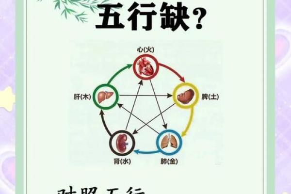 揭开人体五行图的神秘面纱，助你打造健康生活