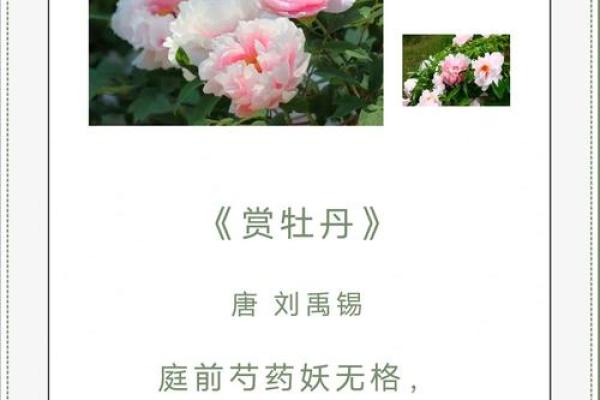 3·8绽放：女性节日，传承千年的美丽数字传奇