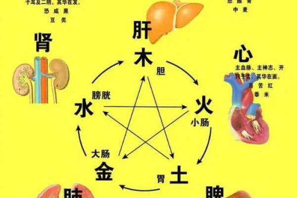 如何通过八字命理看乙肝的潜在风险