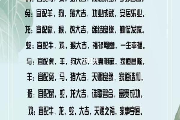 姻缘天注定？属相配对助你找到真爱