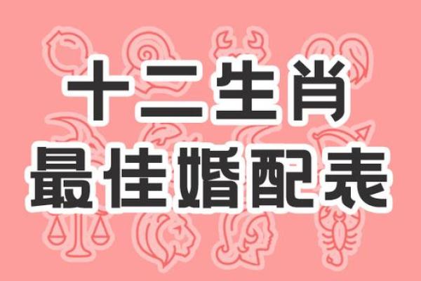 姻缘天注定？属相配对助你找到真爱