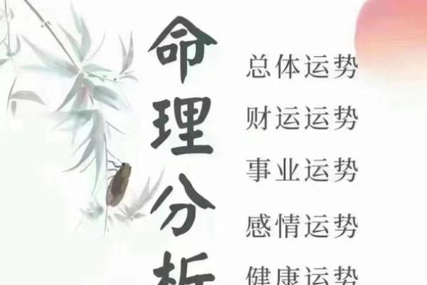 风水命理职业前景如何？你还在犹豫什么？