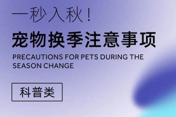 给宠物取名字的艺术，你必须知道的几大秘诀