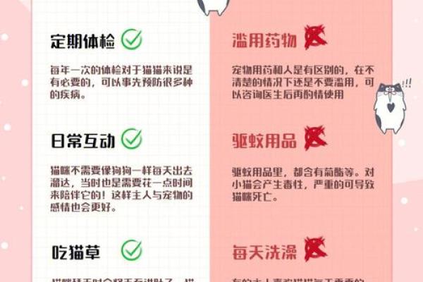 给宠物取名字的艺术，你必须知道的几大秘诀