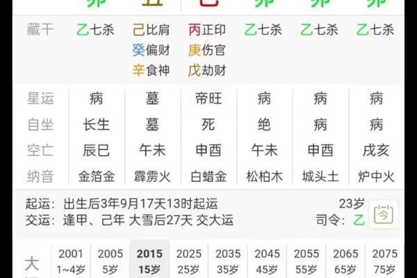 童子八字解析：掌握命运的关键，改变未来的法则