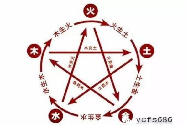 越的五行属性如何决定你的事业与财富运势