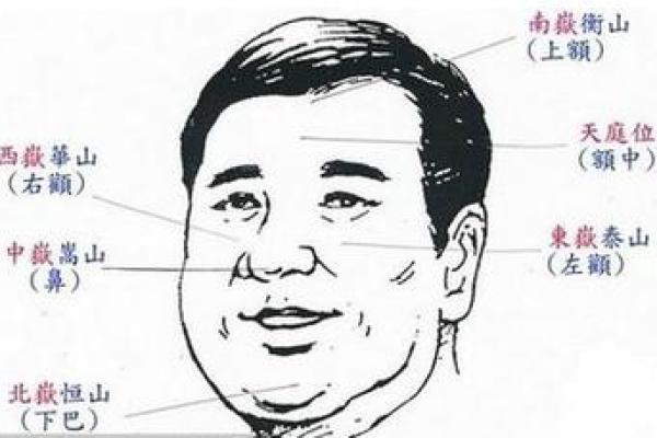 额头低男人：揭秘面相中的神秘力量