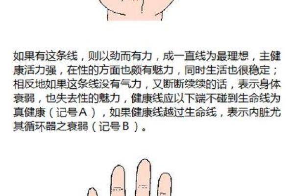 手相健康线揭秘：一招看穿命运起伏，必看爆款算命图解