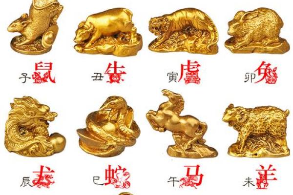 猪鸡相配真相曝光：揭秘生肖配对背后的秘密