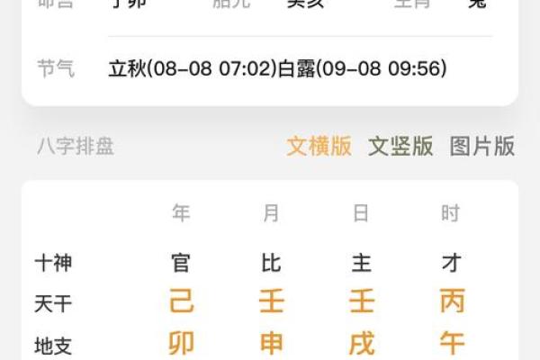 从八字看运势：掌握运程，开启人生新篇章