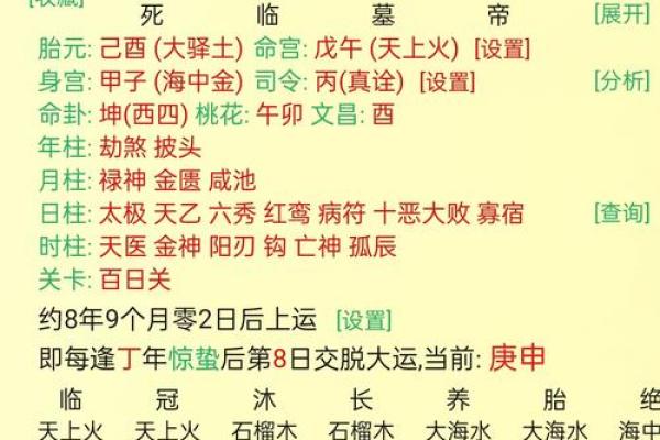 双婚命揭秘：你的爱情命运，究竟藏了多少秘密？