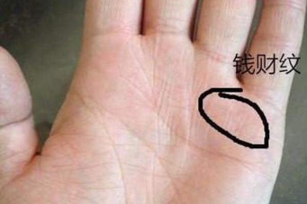 手掌硬如铁，财运亨通，揭秘女人手相的神秘力量