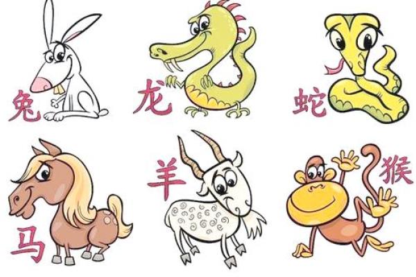 猪鼠配对：揭秘最佳属相伴侣组合