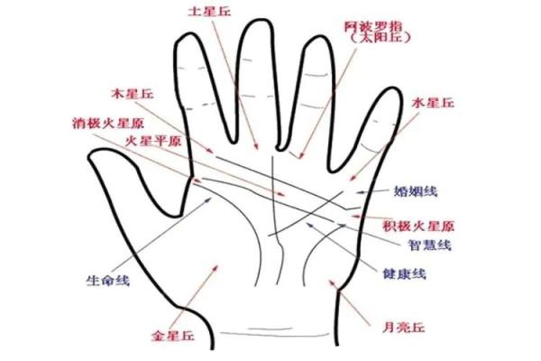 揭秘女人手相，一眼看穿她的运势与性格