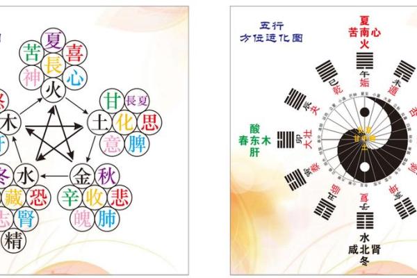 五行生克制化全面解析：深度揭秘宇宙的力量运转