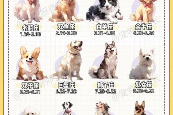 2018年属狗配对宝典，速来查收