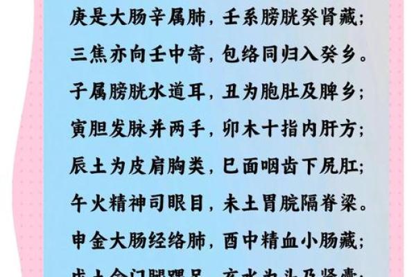 亚五行与健康：如何通过五行调理身体
