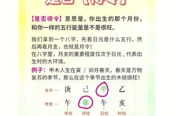 五行命解密：揭秘你的命运密码
