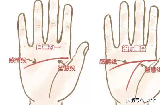 揭秘手相星线，掌握运势密码，你的命运从此改写
