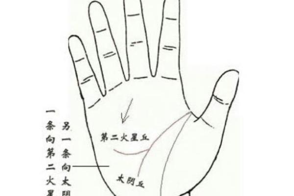 手相揭秘：天乙贵人纹预示着哪些贵人运？