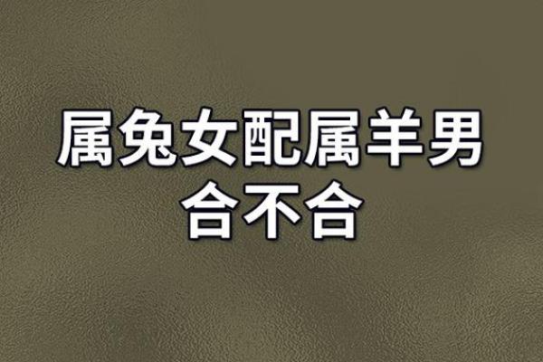 独家揭秘：女蛇男羊相配指数，揭秘爱情compatibility