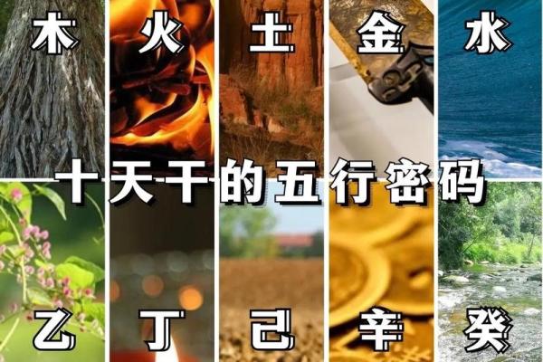 一文带你了解干支五行对照表，提升生活智慧