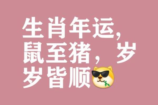 生肖斩，财运亨通，横扫人生