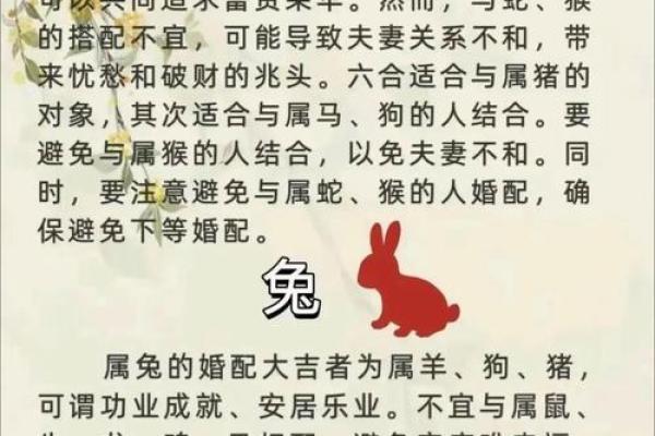 爱情解码：女牛男猴，婚姻配对揭秘