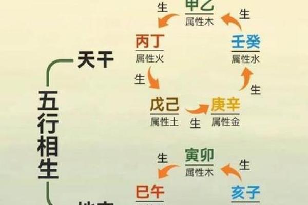 媛五行：从命理到人生的全方位指南