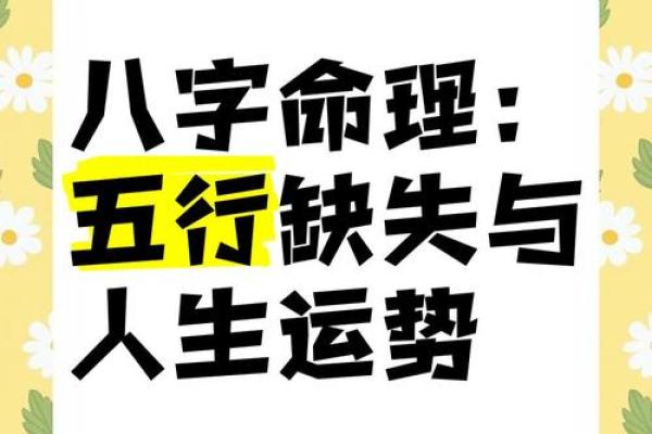 媛五行：从命理到人生的全方位指南