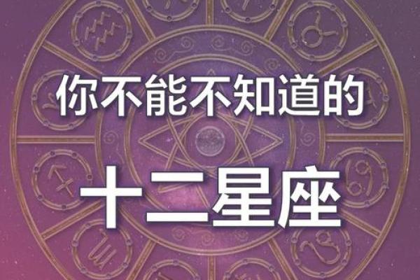 十二星座园：揭秘星座背后的神秘力量