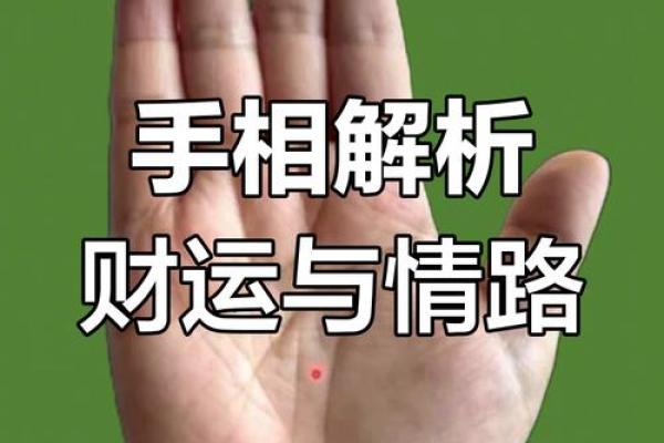 左手手相多条纹揭秘：预示着怎样的命运与财运？