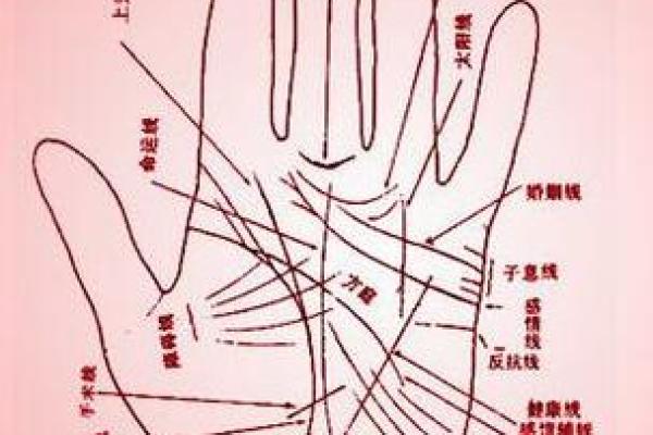 手背有痣，运势如何？揭秘手相中的神秘预示