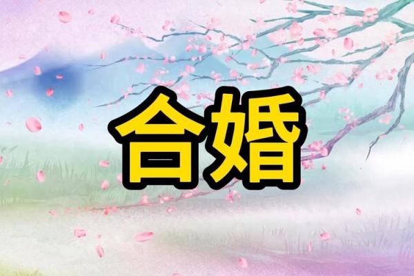 八字合婚神器：合八字软件让你了解真爱缘分