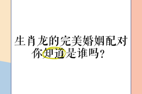 生肖龙88年男完美匹配指南