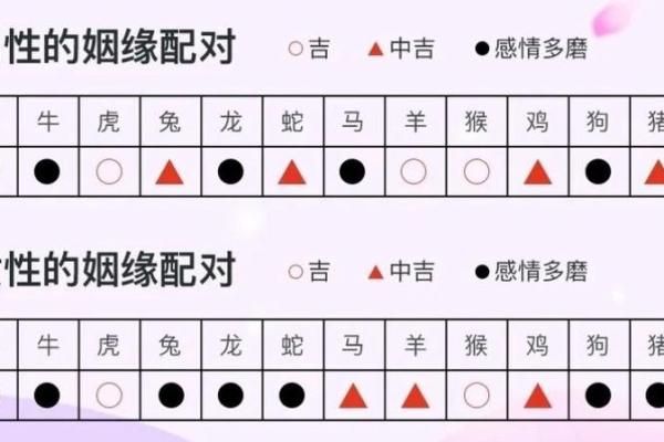 生肖龙88年男完美匹配指南