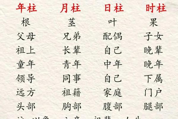 八字预测未来运势，掌握人生的关键