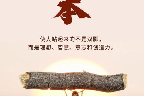 打造合作共赢企业文化，从公司起名开始
