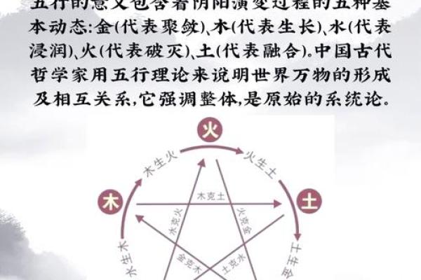 探索五行之东：带你了解木的神秘力量