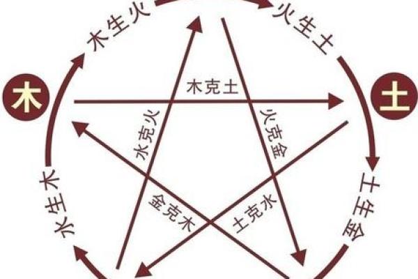 戊寅五行深度剖析：解锁命运背后的力量