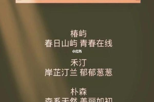 商业公司起名大全：助你轻松打造品牌新名