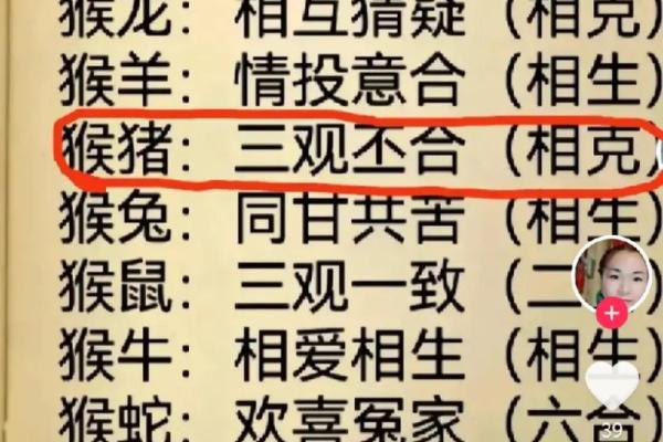 猪猴配对，绝配揭秘属相搭配的神奇魅力