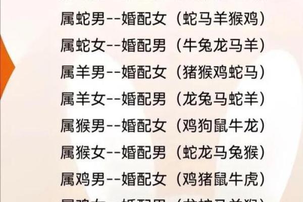 猪猴配对，绝配揭秘属相搭配的神奇魅力