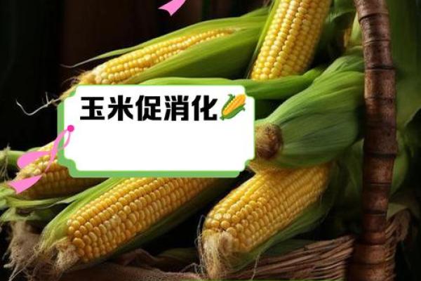 你了解玉米的五行属性吗？背后隐藏着什么秘密