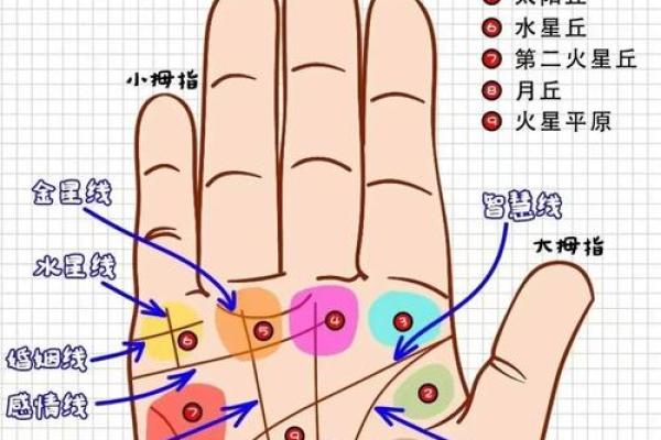 手相揭秘：男人手痣的奥秘与运势