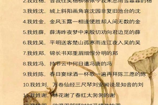 度最具创意的起名灵感