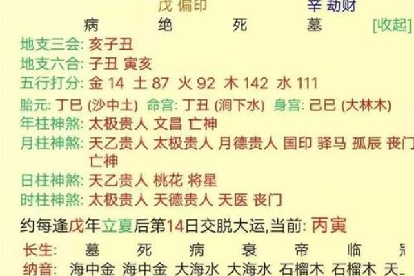 猴子天干的命理密码，助你走向成功与财富