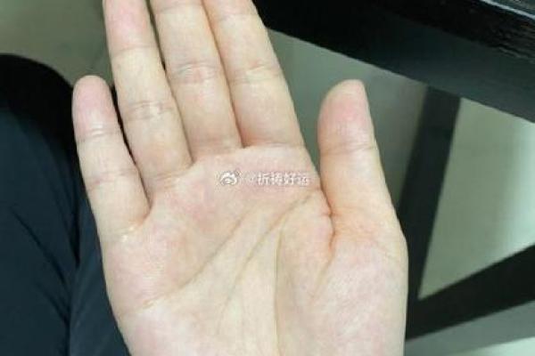 憨态可掬：揭秘面相中的财富密码