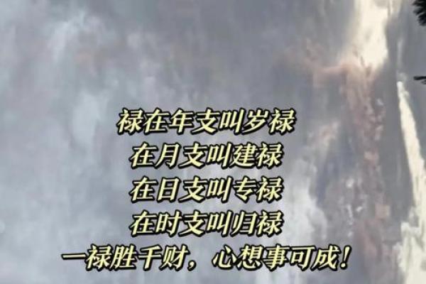 免费八字算命，网络中国为你破解人生秘密