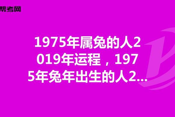 属兔公司起名大全 让你的企业名更具吉祥运势